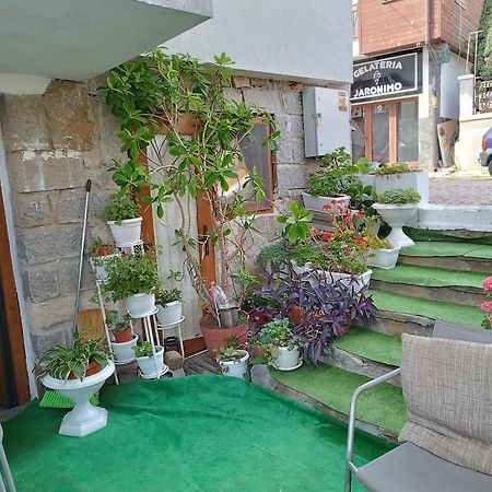 Farlalievi Guest House Sozopol Bagian luar foto